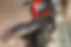 زونتس  Z4 250 X