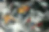 بنلی،  TNT 249S