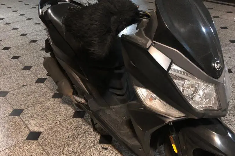 اس وای ام، گلکسی J 200