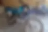 شباب، 150