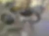 هوندا، CB 150