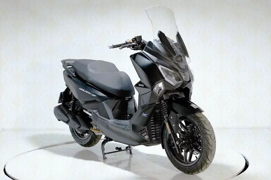 اس وای ام، JR300