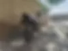 هوندا، CG 125