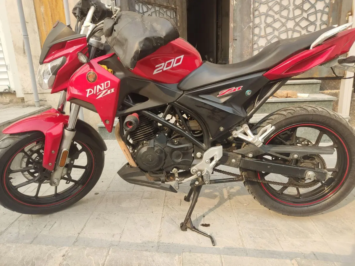 دینو،  Z2