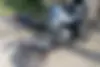 سی اف موتو،  CF 250 SR