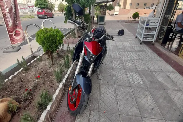 زونتس  250R