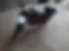 بنلی، TNT 25