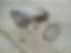 هوندا، CG 125