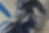 باجاج  پالس 135