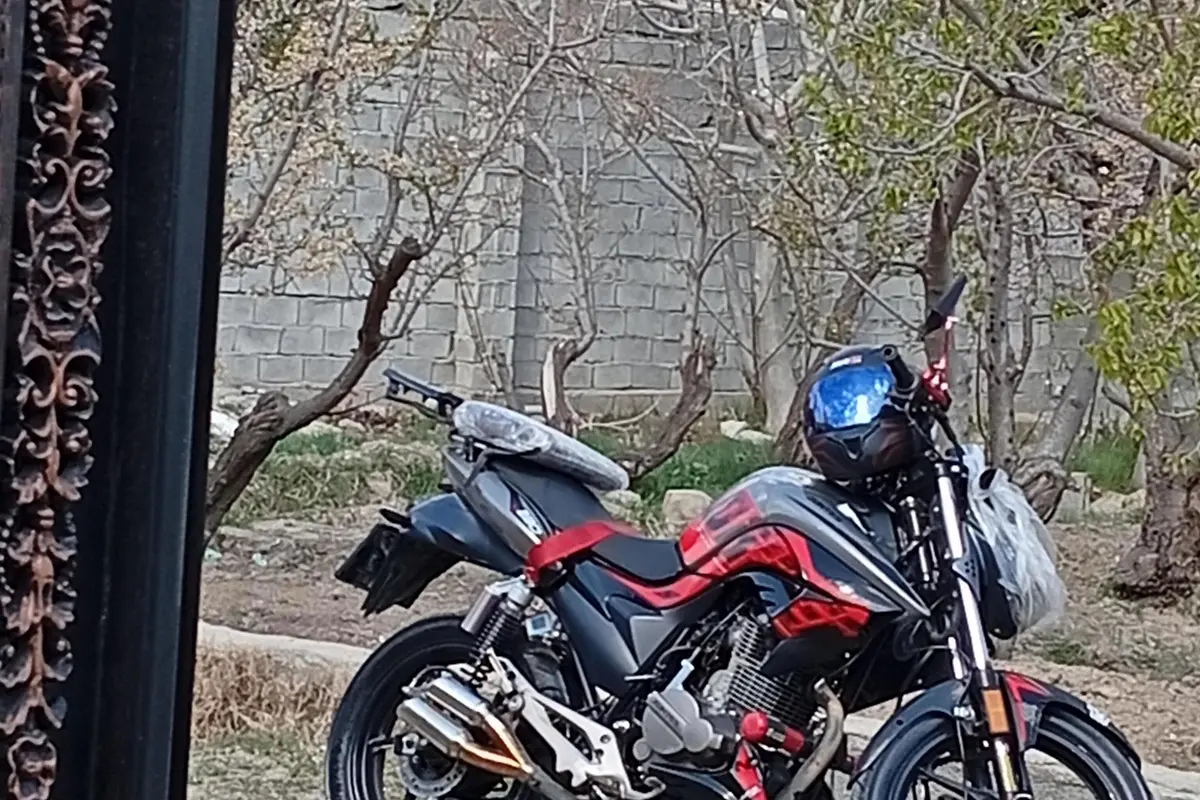 زونتس،  N2 230