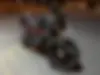 بنلی، TNT 150