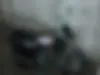 جهان همتا، همتاز 200