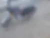 هوندا  CD 200