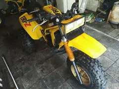 یاماها، ATV 250