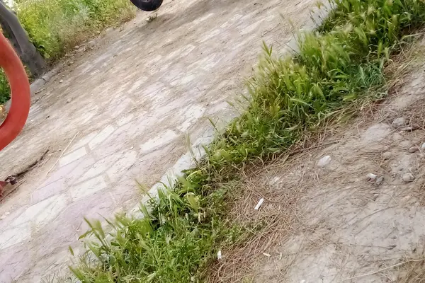 هوندا  CB 150