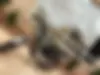 هوندا  CGL 150