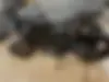 بنلی، TNT 180S