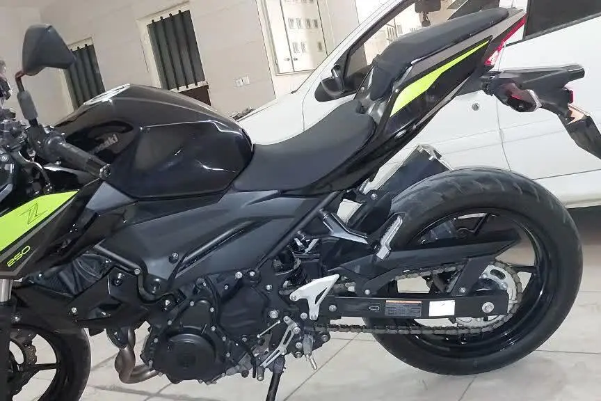 کاوازاکی،  Z 248N