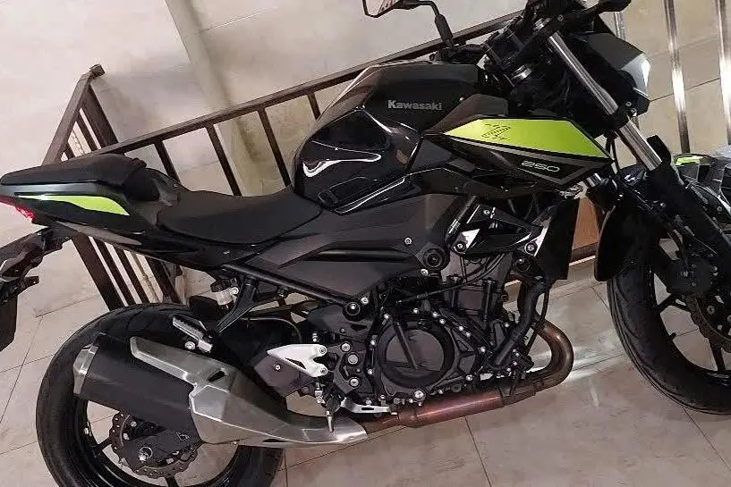 کاوازاکی،  Z 248N
