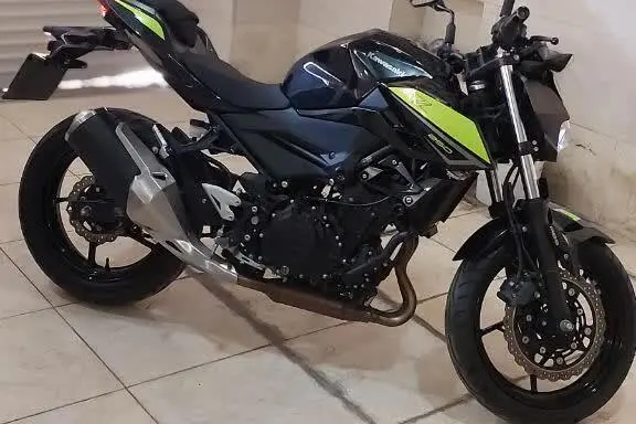 کاوازاکی،  Z 248N