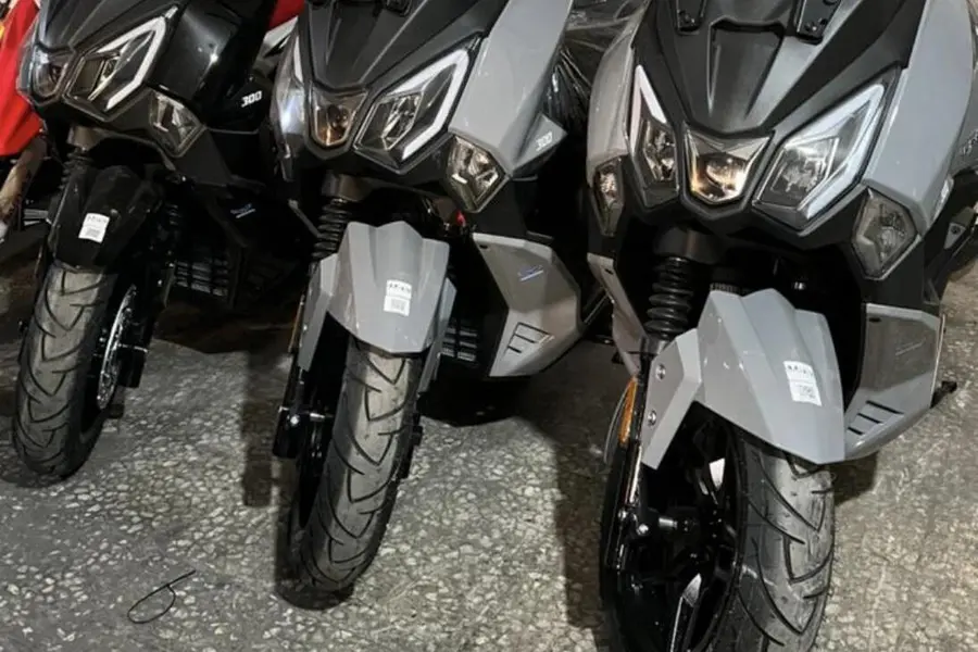 اس وای ام، JR300