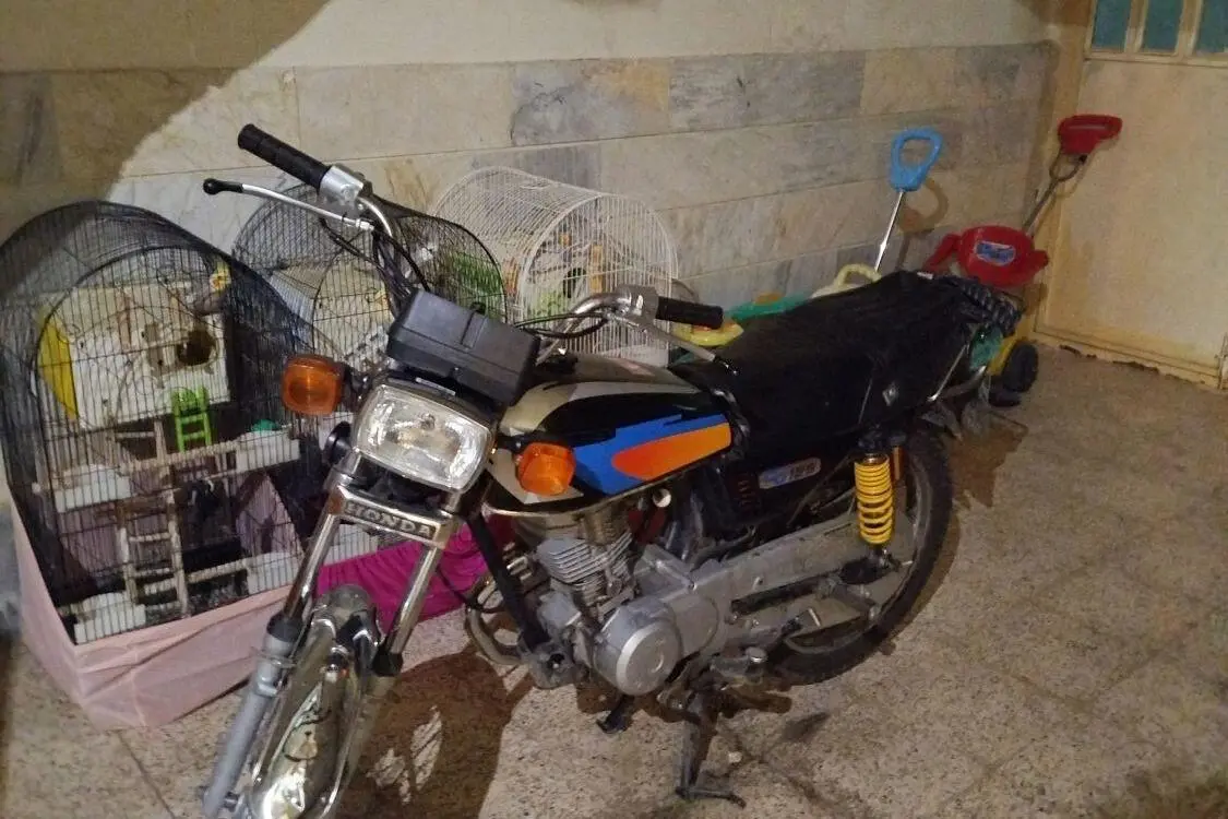 نیرو موتور شیراز،  125