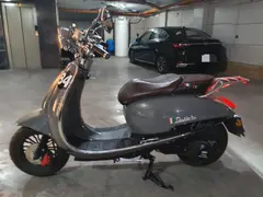 شاهین موتور، دلتا VSP 170 کلاسیک