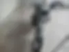 هوندا  CDI 125