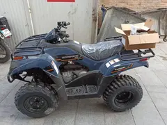 چهار چرخ متفرقه، 300