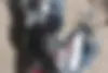 پاسارگاد سیکلت،  برمودا 150