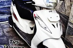 تی وی اس، ویگو