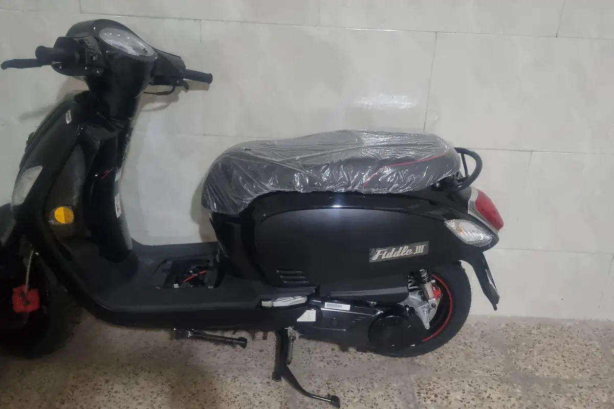 اس وای ام  فیدل 3