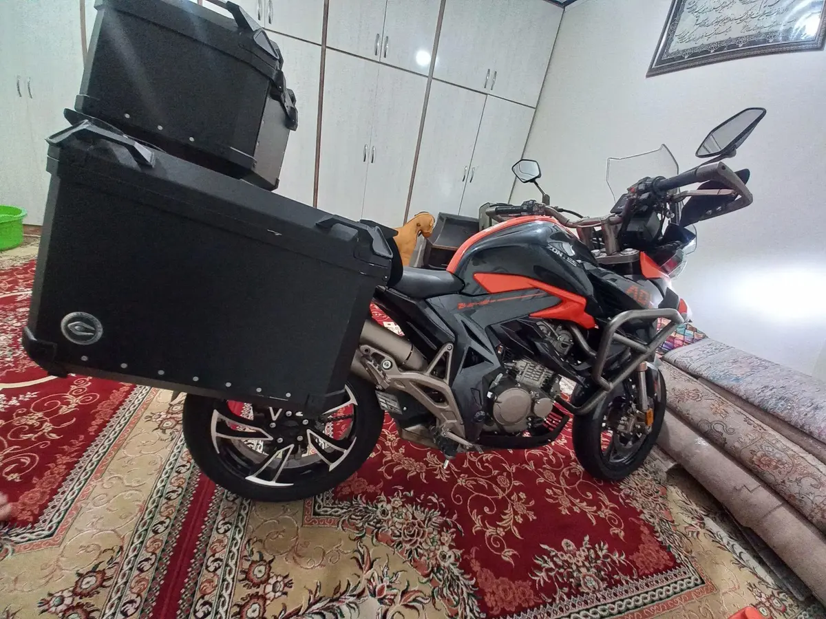 زونتس  Z4 250 T