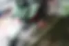 بنلی  TNT 249