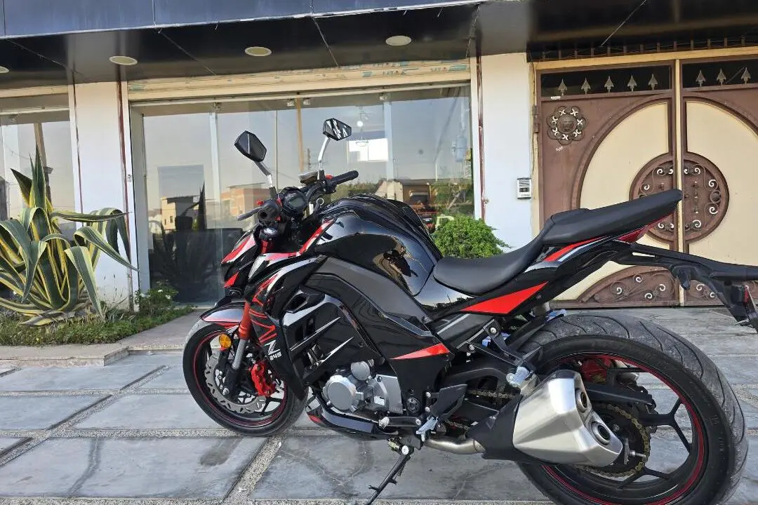 کاوازاکی،  Z1000