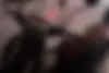 بنلی، پانارئا 125