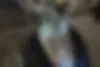 تندر شهاب،  جوان 150