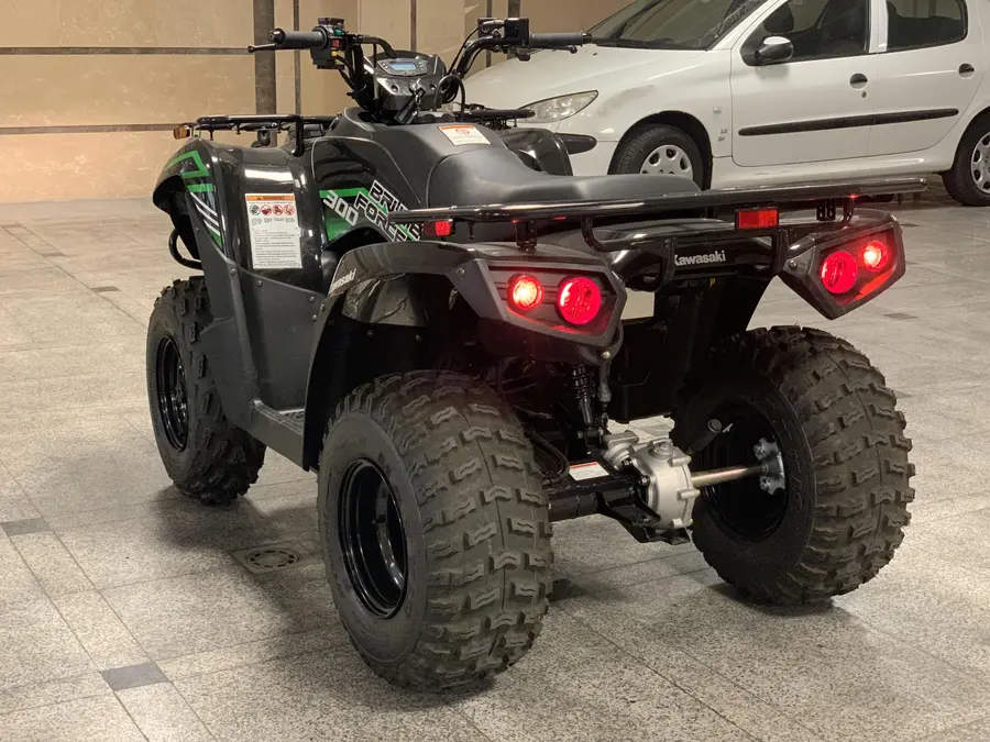 کاوازاکی، بروت فورس 300