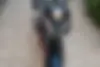 زونتس  N2 230 N