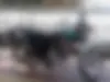 هوندا،  CG 125