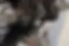 بنلی  TNT 15 EFI