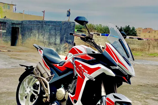 زونتس  Z4 250 X