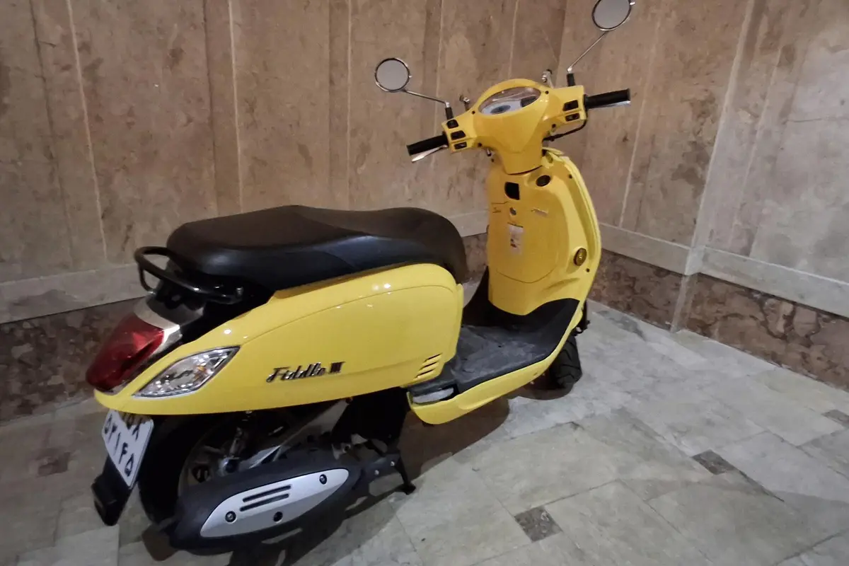 اس وای ام  فیدل 3