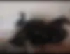 باجاج، پالس 200NS