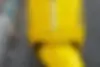 بنلی، پانارئا 125