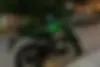 بنلی،  RACE 300