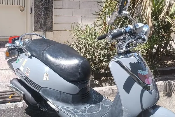 اس وای ام  فیدل کلاسیک