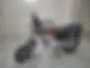 کثیر، رهرو CDI 200