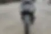 نیرو موتور شیراز  احسان 125rd