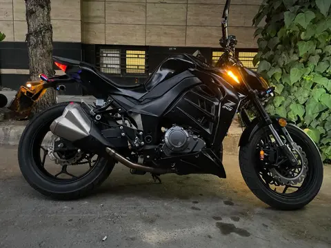 های پرو، 250